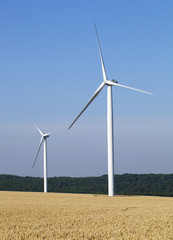 d&eacute;veloppement durable et agriculture