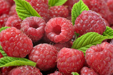 ripe raspberry