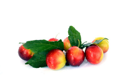 juicy plum