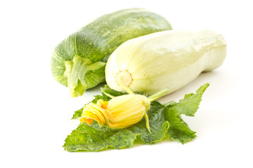 zucchini flower