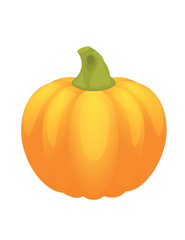 pumpkin for halloween and autumn