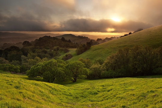 Typical hilly California chaparral meadow at sunset on foggy day