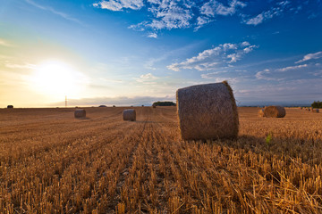 Wheat straw bale