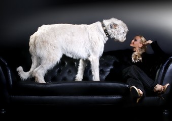 junge Frau & Irish Wolfhound auf Ledersofa
