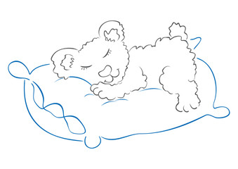Illustration of sweet bear sleeping on pillow