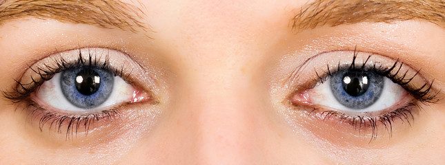 Obraz premium Blue woman's eye. Very sharp image.