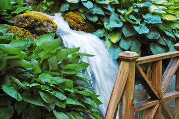 Waterfall in lush botanical garden