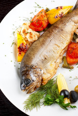 trout fish