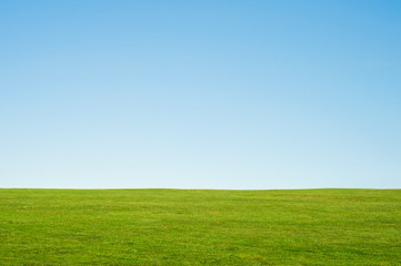 Obraz premium Grass and Sky Landscape