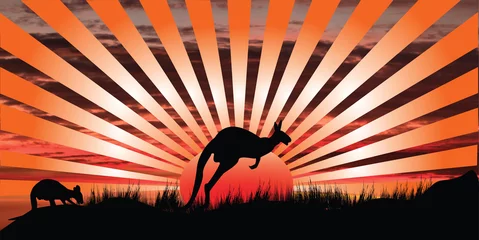 Papier Peint photo Lavable Kangourou kangaroo sunset