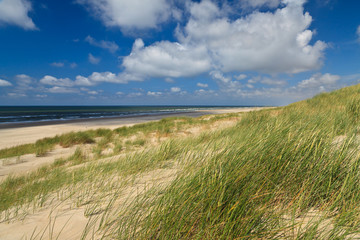 Fototapeta na wymiar Sand dunes with helmet grass
