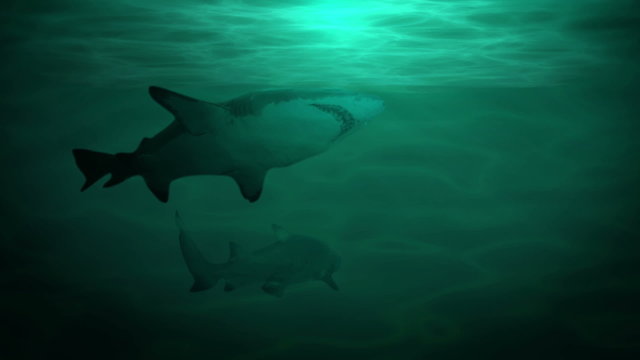 Underwater scene with sharks