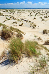 Sand dunes with helmet grass