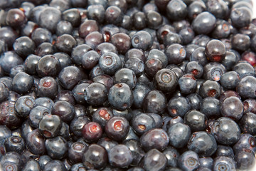 Blueberries