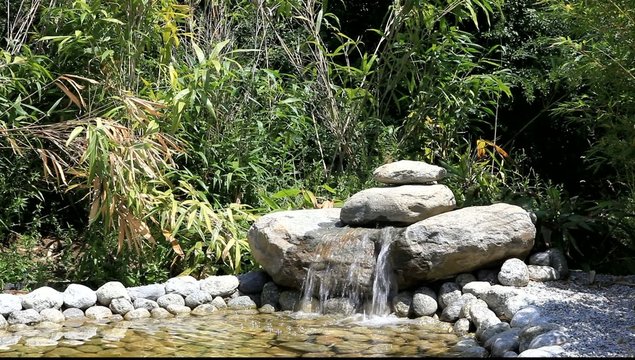 point d'eau sur petit bassin aquatique de jardin
