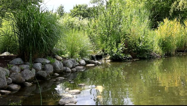 petit bassin aquatique d&eacute;coratif de jardin particulier