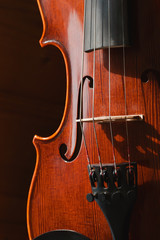 Classic violine