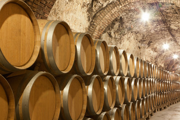 Barriles en antigua bodega