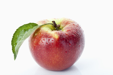 Apfel