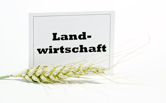 Landwirtschaft