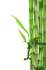 Naklejka premium bambusowa rama na białym tle