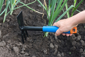 Gardening Tool