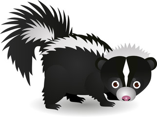 Skunk cartoon