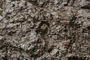 Stein 22
