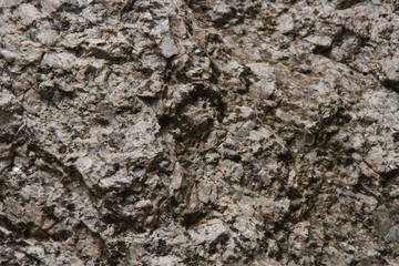 Stein 19