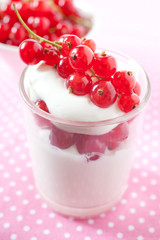 Joghurt mit Johannisbeeren