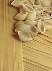 Dried Pasta and Spaghetti1