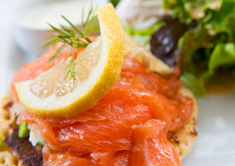 Fresh salmon salad