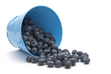 Blueberries in a bucket on a white background