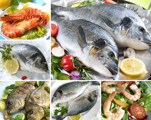 Seafood Collage