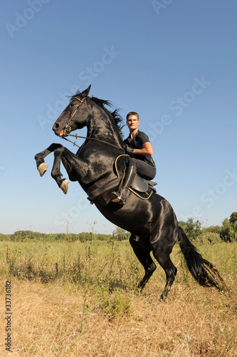 "cheval cabré" photo libre de droits sur la banque d