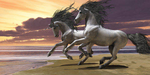 Playing Unicorns Part 1 © Catmando