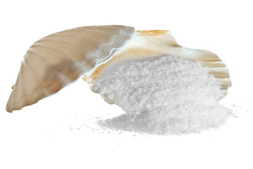 Sea salt in shell