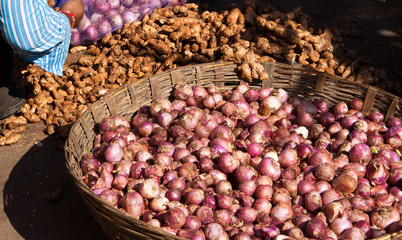 Zwiebeln und Ingwer, Onion and Ginger