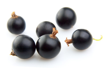 black currant with leafs