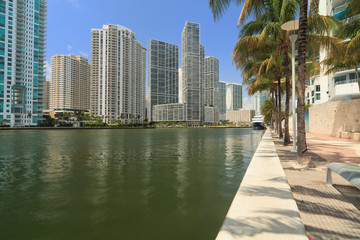 Downtown Miami Cityscape