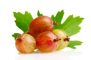 fresh gooseberries and leaves isolated on white