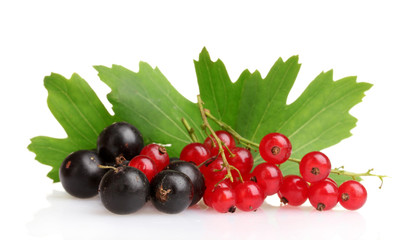 Fresh black and red currant and leaves isolated on a white