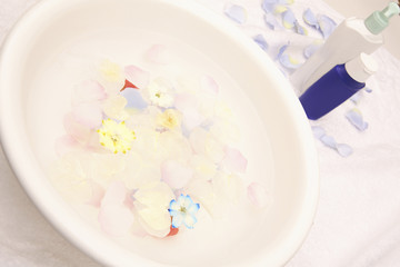 水面に浮かぶ花びら