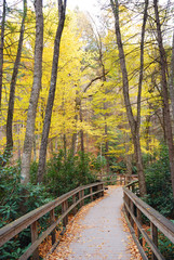 Autumn hiking trail