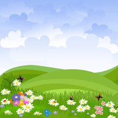 Rolgordijnen Lieveheersbeestjes landschap gazon bloemen