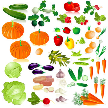 vegetables isolated collection