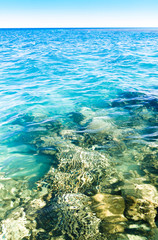 Warm Coral Sea