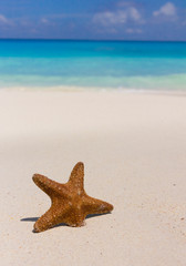 Vacation Idea Wallpaper