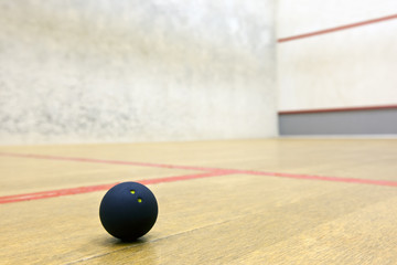 Squash Ball at Court