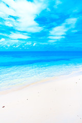 Beach Shore Maldives